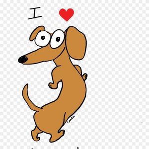 Meet your Posher, Nicholas